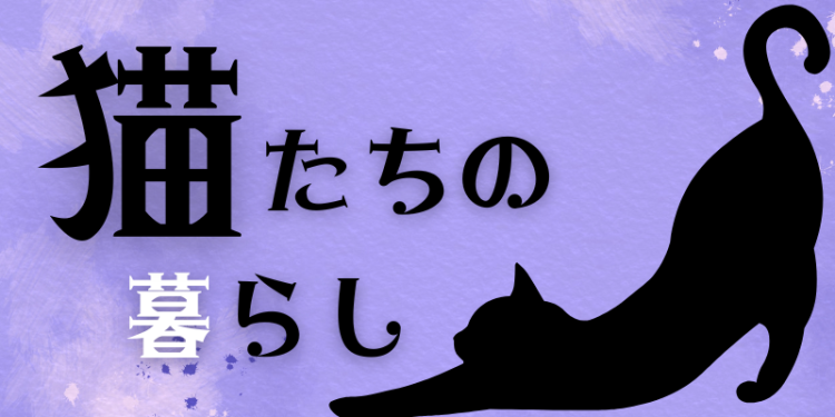 カワイイがいっぱい！ワンダーランド